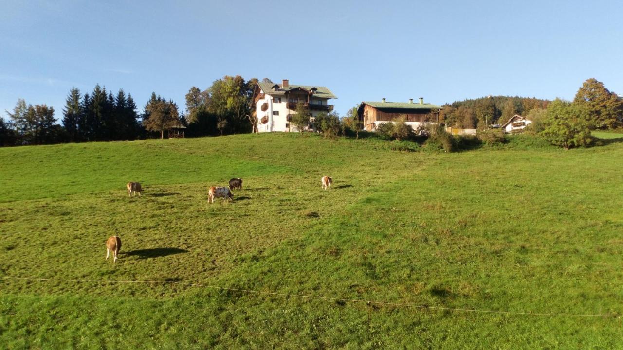 Hotel Die Schlafende Goass - Pub Und Gaestehaus Bischofswiesen Esterno foto